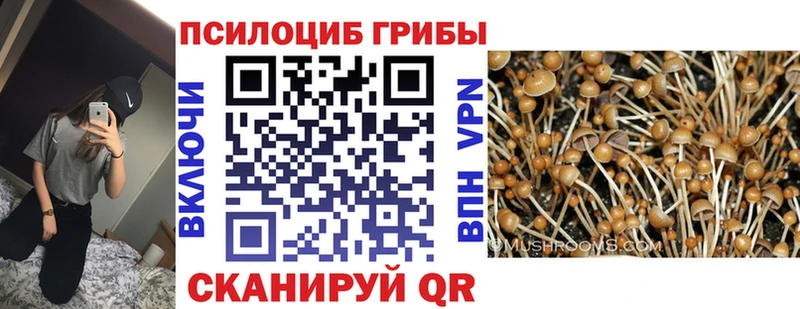 Галлюциногенные грибы Cubensis  Приволжский 